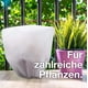 thumbnail image 5 of Apuakthei TK Gruppe Timo Klingler 3X Schutzhülle 80x60 cm Haube Winter Winterschutzvlies Vlies Schutzhülle Kübelpflanzensack aus Vlies als Winterschutz - Schutzhaube Plane Frostschutzvlies Pflanzen, 5 of 5