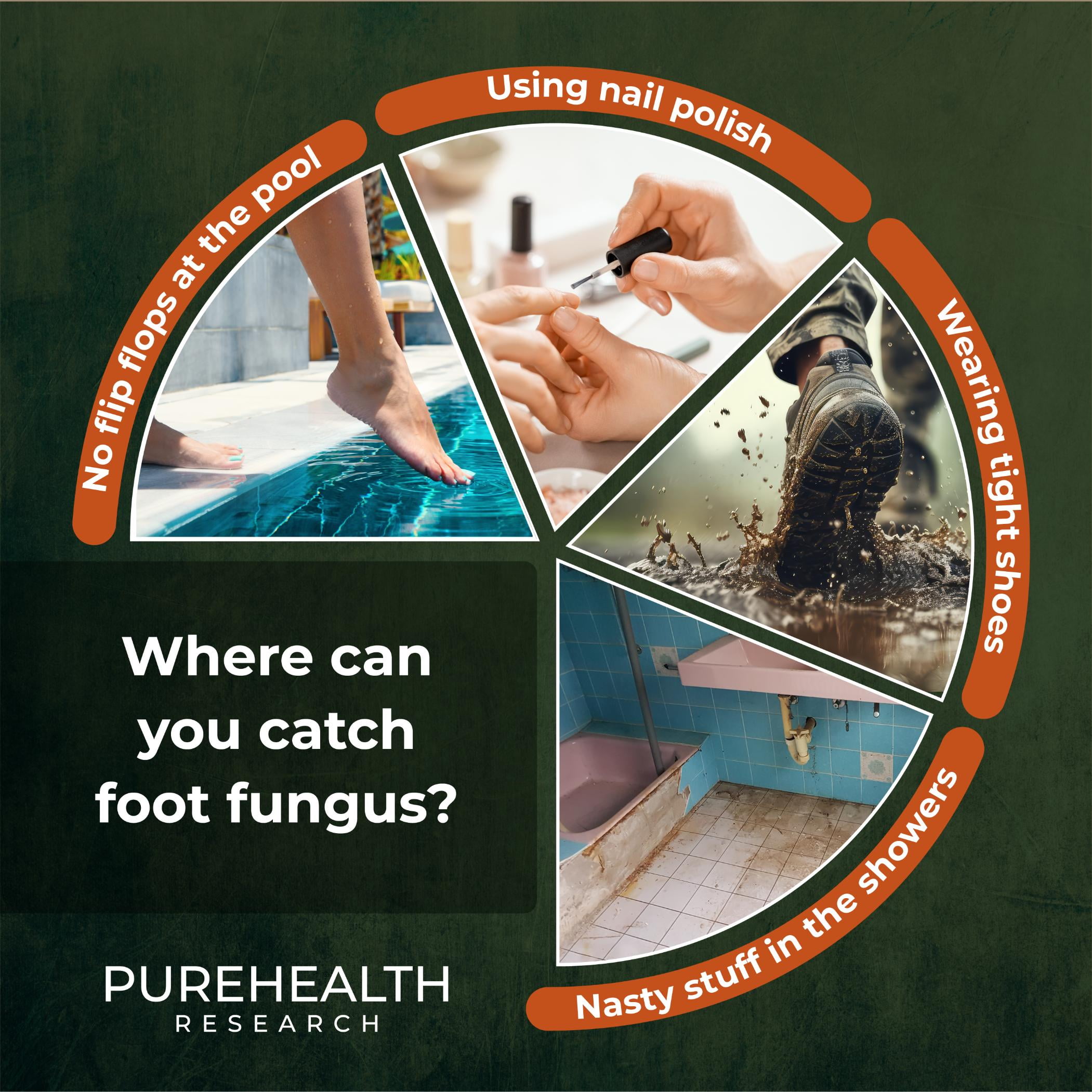 Fungus Eliminator, Toe Nail Fungus Supplement with Wormwood & Caprylic Acid by PureHealth Research