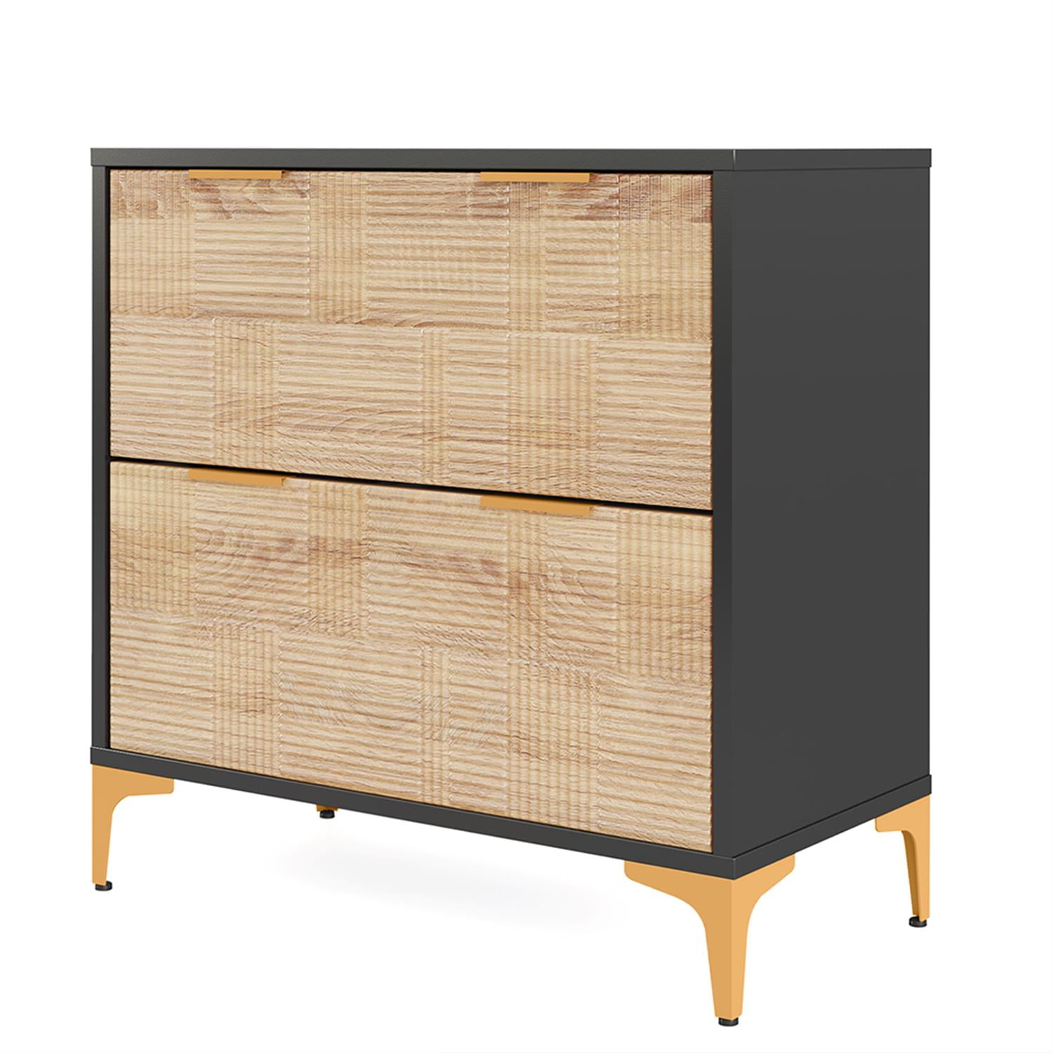 Demi Bonn 2-Drawer File Cabinet with Adjustable Hanging Bar, Filing Cabinet for Home Office, Printer Stand, for A4, Letter-Size Documents, Storage Cabinet for Home Office, Black