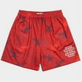 thumbnail image 4 of Pantalones cortos de deporte para hombre, shorts masculinos de estilo informal, con diseño de la ciudad de Nueva YORK SKYLINE, de malla, para gimnasio, para verano, 2022, 4 of 5