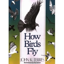How Birds Fly, (Paperback)