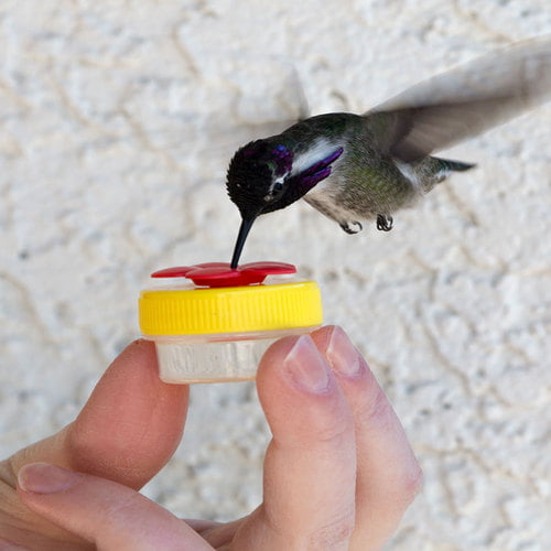 2-each 1-Blue & 1-Purple Nectar DOTS Handheld Hummingbird Feeders 