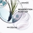thumbnail image 2 of Kerastase Resistance Bain Force Architecte Strengthening Shampoo, 250 ml / 8.5 fl. Oz, 2 of 7