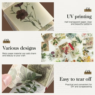 Catchy Crafts - Scrapbooking, Stamping and Card Making Supplies - Clearance