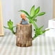 thumbnail image 4 of Figura de resina Zen Monk • Decoración marrón sobre la mesa • Adorno de escritorio adorable • Decoración para el hogar y la oficina • Acento de bonsái, 4 of 7