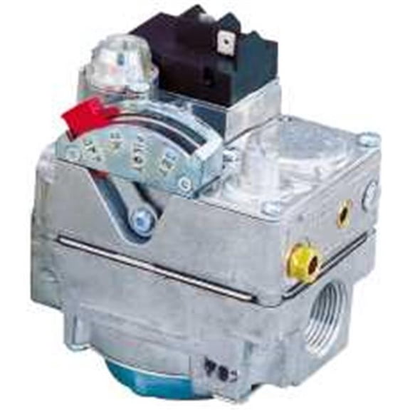 Robertshaw Conbination Dual Gas Valve, With Side Taps