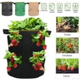 thumbnail image 3 of Dream Lifestyle Strawberry Grow Bag, Strawberry Plant Bag with 8 Side Planting Pockets, Breathable Felt Material Plant Container with Handles for Balcony Courtyard Gardening, 3 of 7