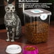 thumbnail image 4 of Kearding Cubo de arroz Almacenamiento de alimentos Frasco sellado Tanque de granos Merienda de cereales Caja de té Botes herméticos Gabinetes Organizadores de utensilios de cocina Transparente METRO, 4 of 6