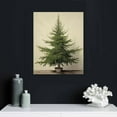 thumbnail image 4 of COMIO  Vintage Christmas Tree Wall Art Retro Winter Pine Botanical Aesthetic Pictures Prints Neutral Winter Room Wall Decor Canvas Posters Farmhouse Holiday Wall Decor, 4 of 4