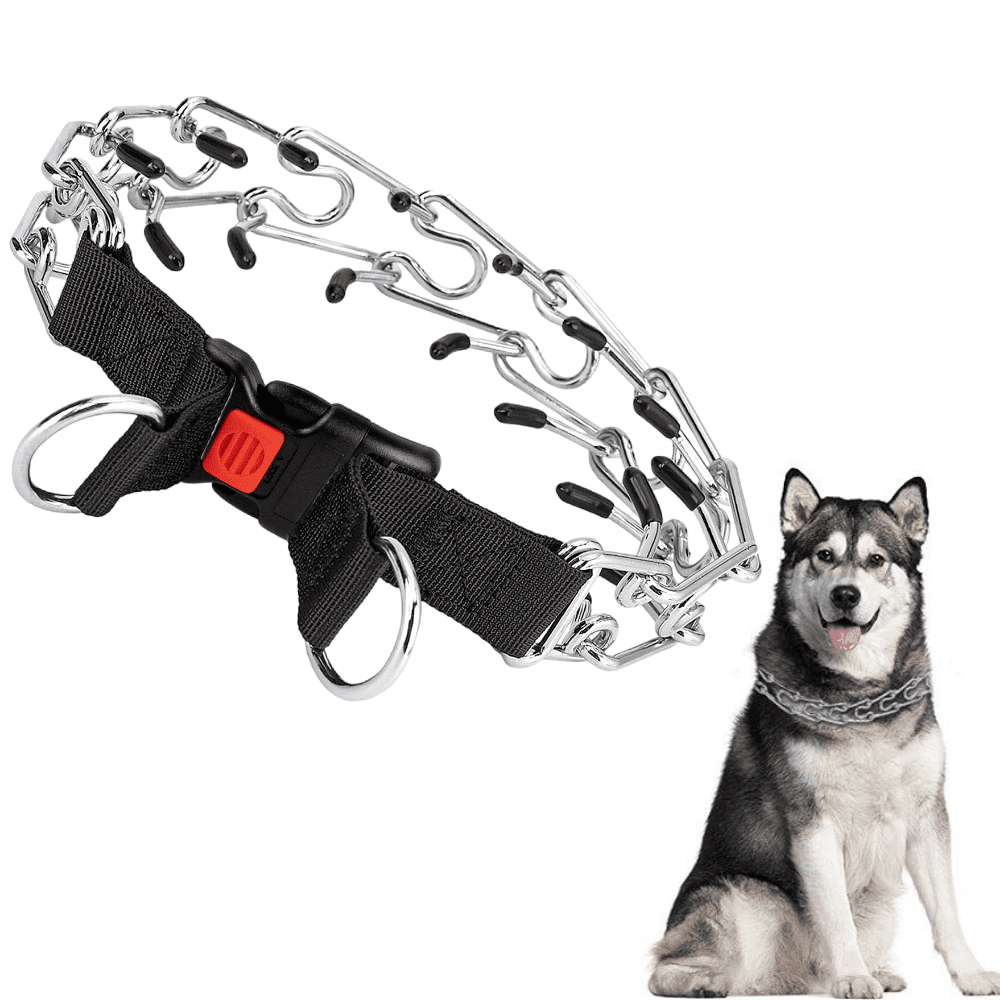 Prong collar clearance walmart