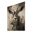 thumbnail image 2 of Designart "Africa Antelopes beautyful Leap" African Print on Natural Pine Wood, 2 of 5