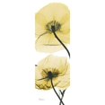 thumbnail image 2 of Iceland Poppy Yellow Poster Print by Albert Koetsier, 2 of 2