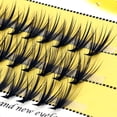 thumbnail image 2 of Pestañas postizas naturales, 1 caja de 60 grupos de pestañas individuales 20D, extensión de pestañas, maquillaje profesional, envío gratis Tan Jianjun unisex, 2 of 2