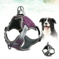thumbnail image 4 of Flmtop Chat Col Maille Confortable Réfléchissant Forte Boucle Type Chat Collier Maille Harnais pour Chien Violet, 4 of 9