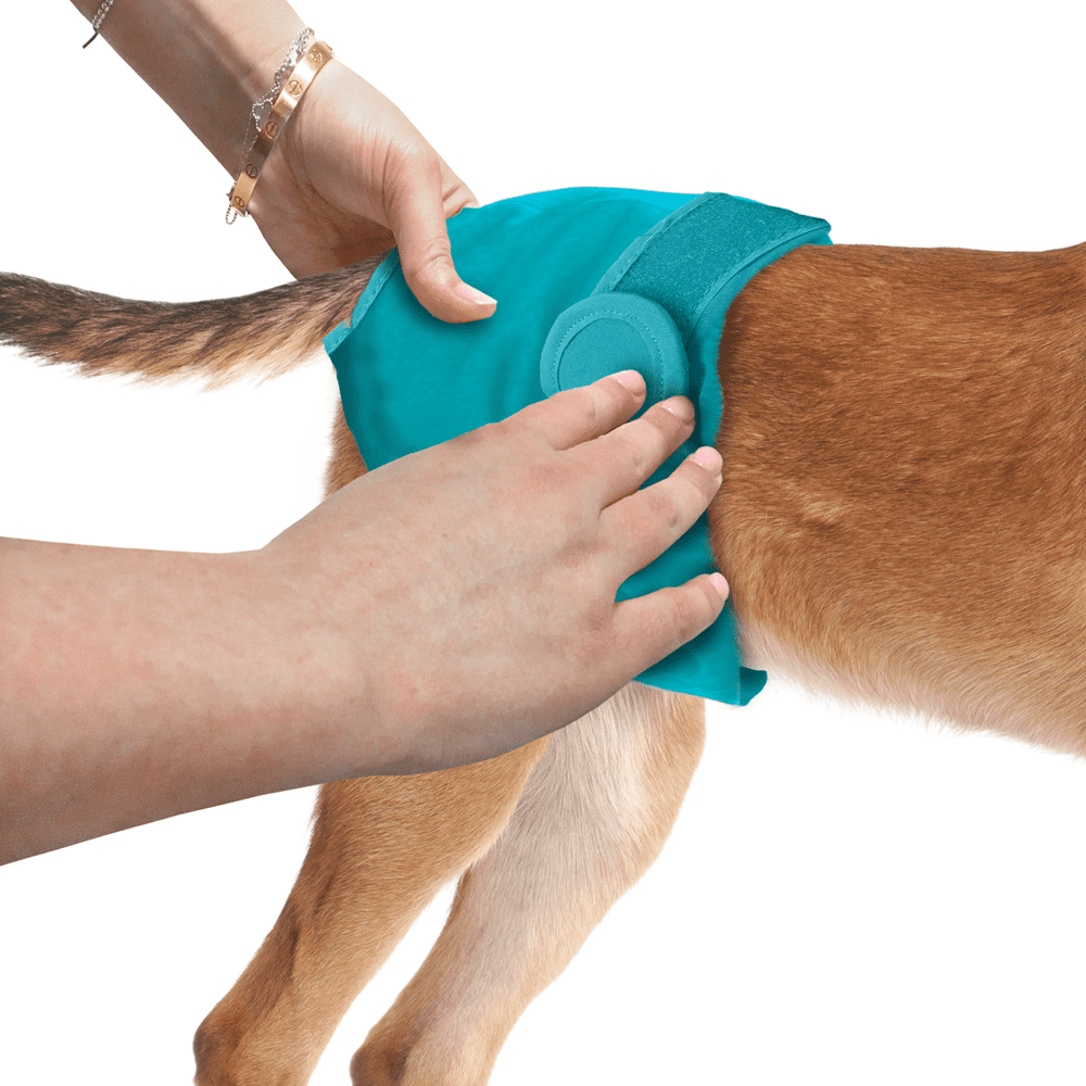 simple solution diaper garment