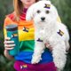 thumbnail image 5 of 500 Pieces 5x3 Cm Progress Pride Flag Stickers, Rectangle Rainbow Pride Stickers Self Adhesive Sticker Roll For Gay Pride Month Decorations, 5 of 5