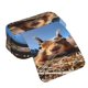 thumbnail image 4 of Disketp Close-Up Curious Squirrel Estuche de Lápices de Doble Capa con Tapa Abatible y Cremallera, Organizador Escolar para Adolescentes y Adultos, 4 of 7
