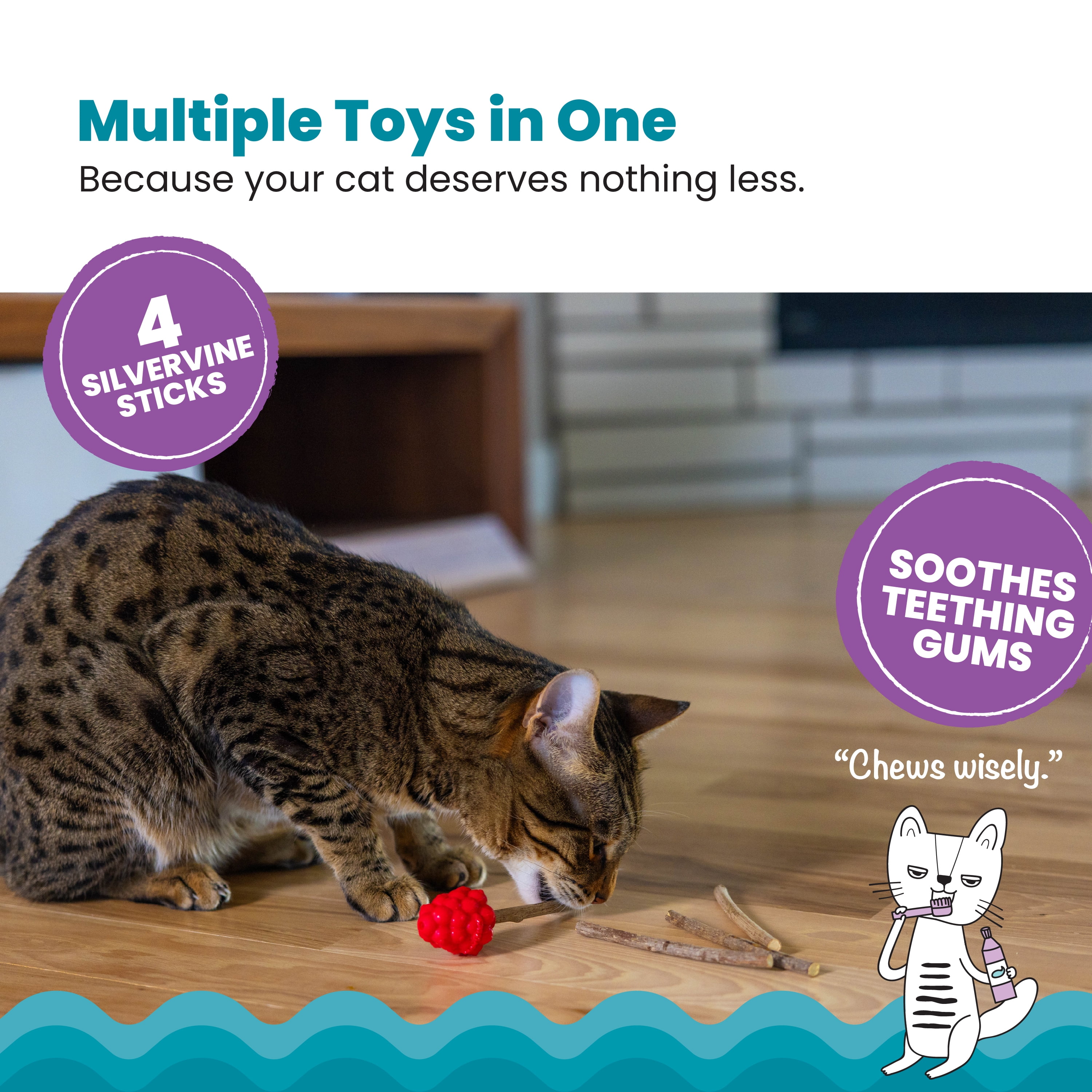 Catstages Dental Raspberry Teether with Silvervine Sticks, Cat Teething Toy Red