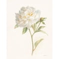 thumbnail image 3 of Gango Home Decor Shabby-Chic Garden Poppy & Peony by Danhui Nai (Printed on Paper); Two 11x14in Unframed Paper Posters, 3 of 5