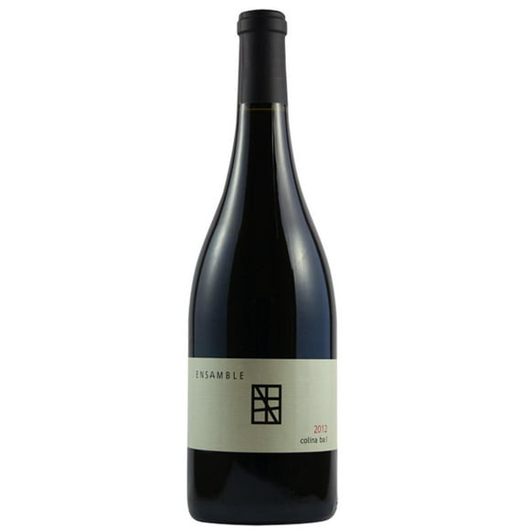 Vino Tinto Bodega Paralelo Colina Ba I 750 ml