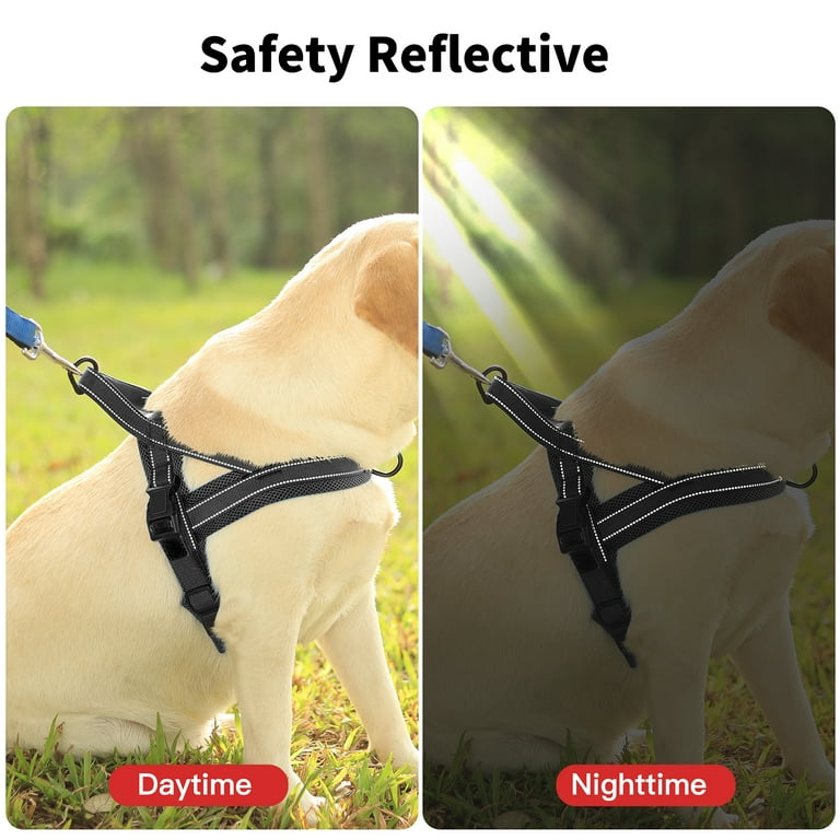 Led 2025 dog harness