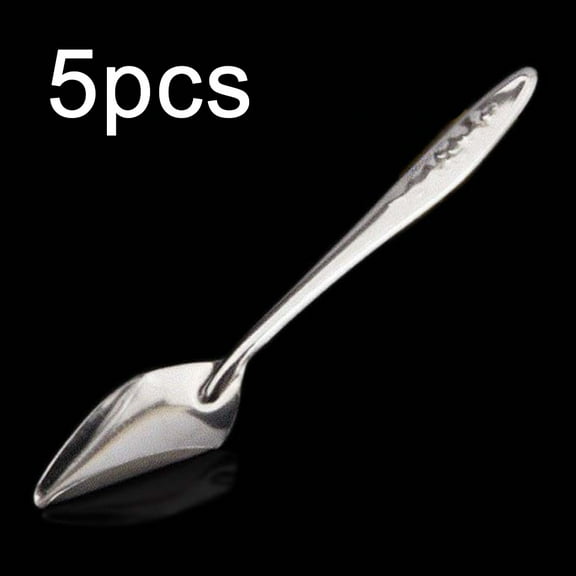 lixuesong 5 Pack Parrot Feeding Spoon Stainless Steel Feed Small Metal Manual Feeder Tool for Conure Parakeet