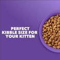 thumbnail image 7 of IAMS Proactive Health 1-12 Months Healthy Kitten with Salmon Kitten Food 16 lb, 7 of 7