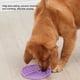 thumbnail image 4 of Methold Alfombrilla de alimentación Almohadilla Licky Ralentización Comer Multicolor Lavable Resistencia al desgaste Estable Anti-golpe Práctico Suministros para perros Púrpura Methold PT005058-01, 4 of 6