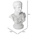thumbnail image 3 of Design Toscano Augustus Caesar Primaporta Statue Buste, 46 cm, Polyresine, Pierre Antique, 3 of 11