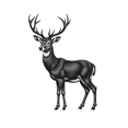 thumbnail image 6 of cartoon Deer Stickers, Waterproof Deer Sticker for Water Bottle Laptop Phone Cases Planner Skateboard Luggage Helmet Party Favor Decor, Ideal for Adults Teens Teacher Rewards, 6 of 9