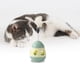 thumbnail image 5 of Juguete para gatos De alto a aburrido Vaso con palo Comida que gotea Plato giratorio para gatos Suministros para gatos, 5 of 6