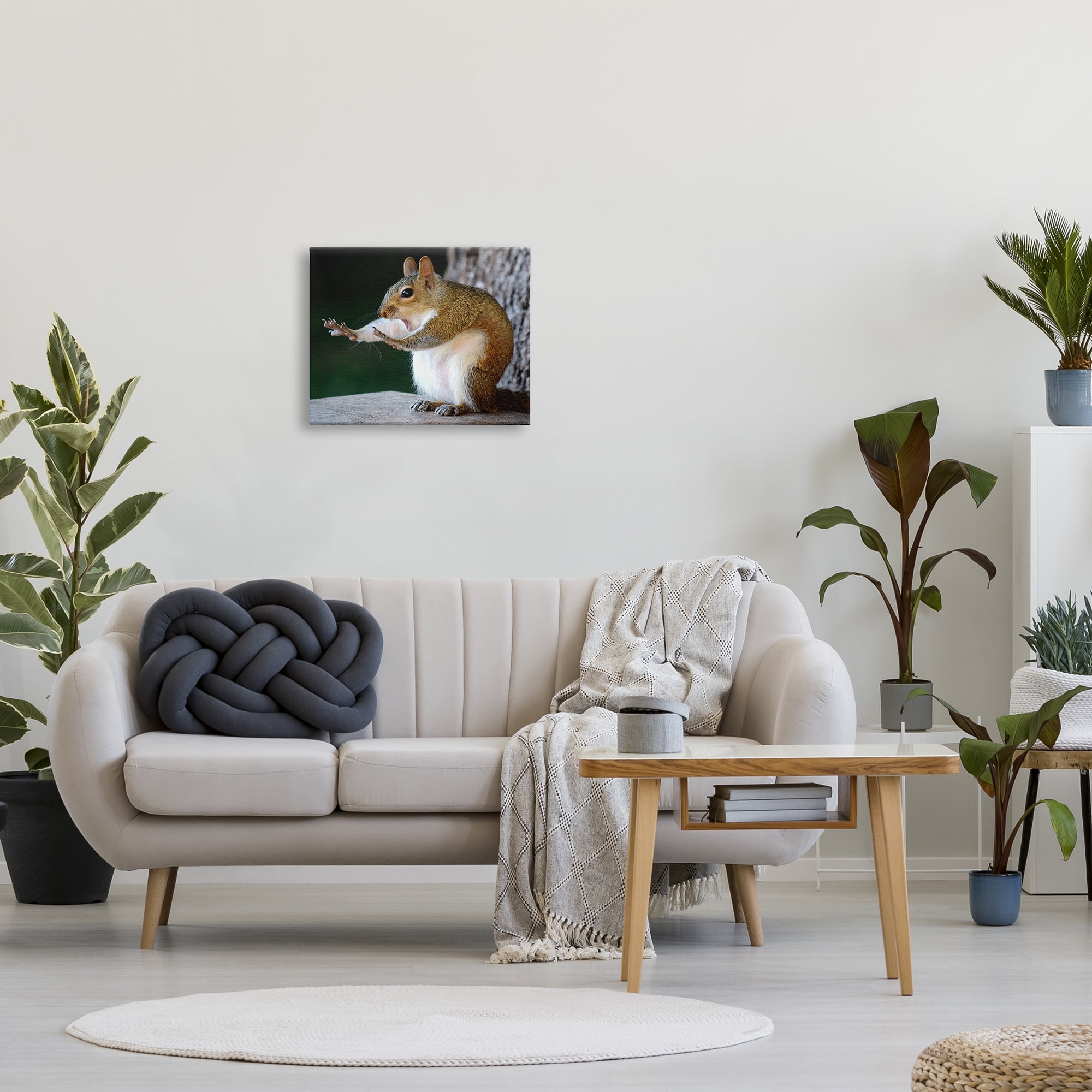 Stupell Industries Funny Shocked Pose Squirrel Animals & Insects Photography Gallery Wrapped Canvas Art Print Wall Art, 20 x 16