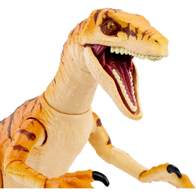 Jurassic World Amber Collection Tiger Velociraptor 6 in Action
