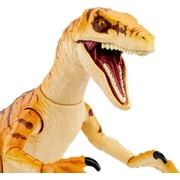 Jurassic World Amber Collection Tiger Velociraptor 6 inch Action Figure
