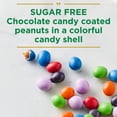 thumbnail image 3 of RUSSELL STOVER Sugar Free Chocolate Candy Coated Peanuts, 7.5 oz. bag, 3 of 9