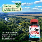 Biotin 10,000 mcg | 360 Tablets | Vitamin B7 Supplement for Hair, Skin & Nails | One Tablet Daily | by Fito Medic's