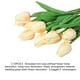 thumbnail image 3 of Bolsas de decoración Wosthever 10 piezas floricultura con ramos simulados tulipanes artificiales, 3 of 6