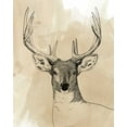 thumbnail image 2 of Popp, Grace 12x14 White Modern Wood Framed Museum Art Print Titled - Burnished Buck II, 2 of 4