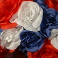 thumbnail image 3 of National Tree Company 14 in. Patriotic Rose Wreath, 3 of 4