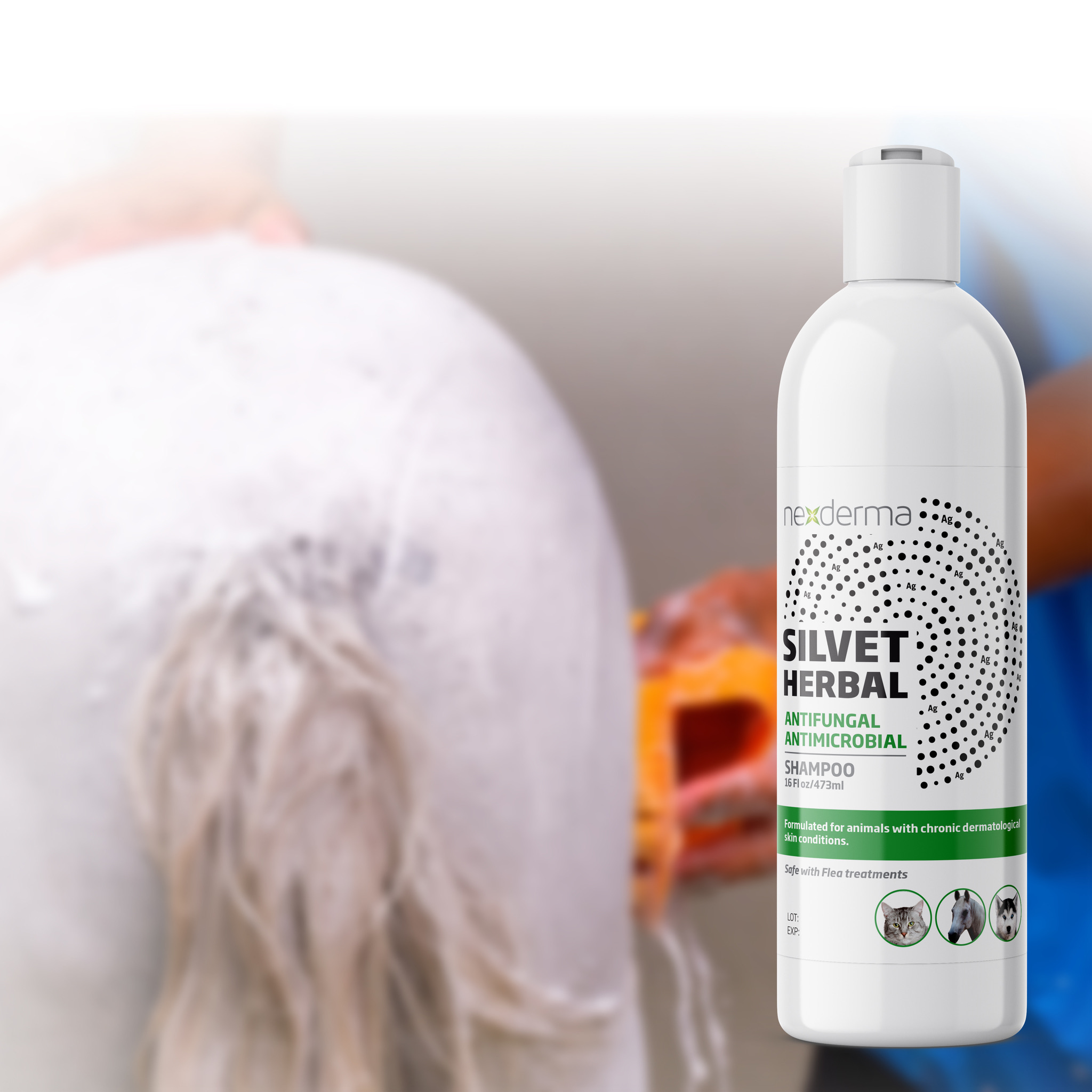 antifungal shampoo for cats walmart