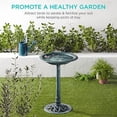 thumbnail image 6 of Best Choice Products Outdoor Rustic Pedestal Bird Bath Accent for Garden, Yard w/ Fleur-de-Lis Accents - Patina Green, 6 of 7