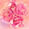 thumbnail image 2 of Lavoie, Tina 26x26 White Modern Wood Framed Museum Art Print Titled - Peony Garden, 2 of 4