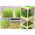 thumbnail image 3 of Zeus Plateau de Germination de Graines Support Sans Sol Pot de Semis Récipient Hydroponique, 3 of 6