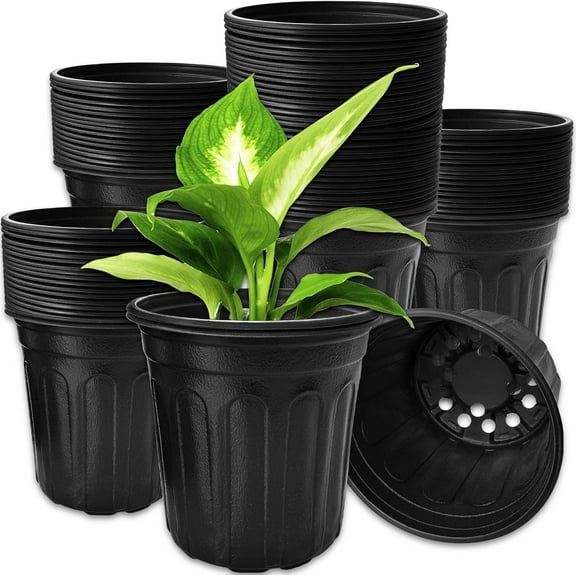 60 Pack 1 Gallon Seed Starting Pots, Thickened Plastic Plant Nursery Containers with Ventilation Holes, for Succulents, Flowers, Vegetables, Gardening, Black