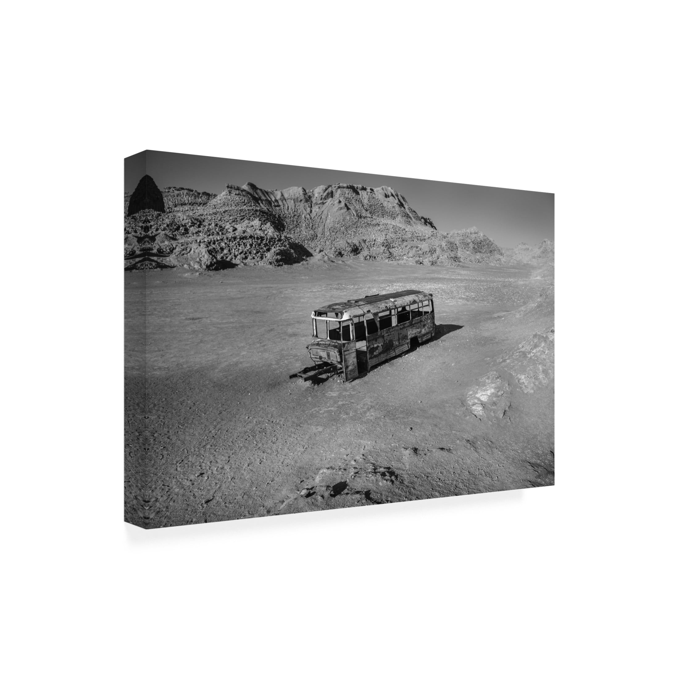 Trademark Fine Art Cristian Flueraru San Pedro de Atacama, Chile 2022 Canvas Wall Art