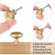 thumbnail image 4 of 2 manijas doradas para gabinete de cocina, perillas redondas para muebles, manijas para gabinetes de cocina de oro mate, perillas para puertas de cocina, perillas para cajones vintage de 30 mm para, 4 of 5