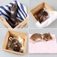 thumbnail image 3 of Hamster Blankets Warm Simple 5PCS Small Animal Bed Mats Hamster Sleeping Pads, 3 of 10