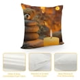 thumbnail image 4 of Orinice Candle Rocks Teddy Bear Graphic Decorative Throw Pillow Cover for Home Couch Living Room Bed Sofa Pillowcase Soft and Durable 1PC 22x22in, 4 of 5
