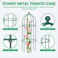 thumbnail image 4 of MOPHOTO XL Garden Trellis for Climbing Plants Outdoor, Tomato Cage Metal Obelisk Trellis Plant Trellis for Potted Plant, Flower Trellises Plant Cages Peony Cages Plant Support (Green, 3 Pack), 4 of 8