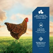 DuMOR 16% Layer Pellet Poultry Feed